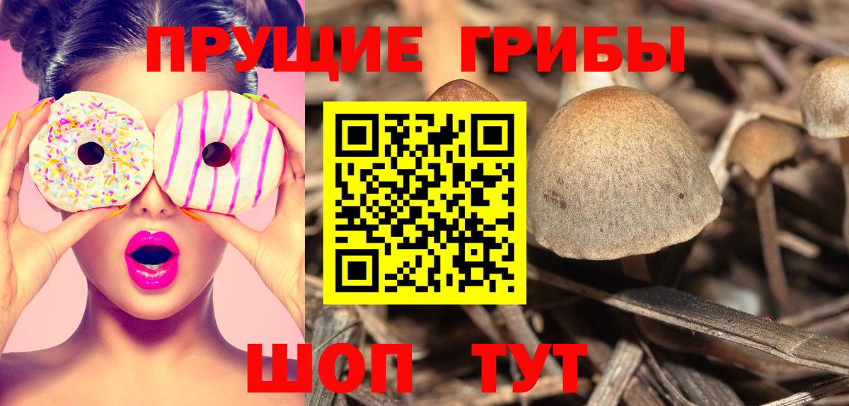 продажа наркотиков  Галлюциногенные грибы Psilocybe  Вход с VPN  Псилоцибиновые грибы GOLDEN TEACHER  Электросталь 